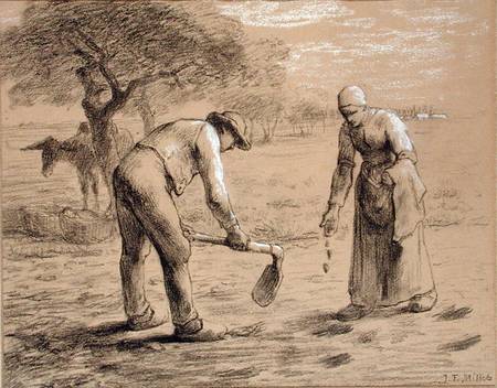 Peasants planting potatoes od Jean-François Millet