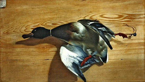 A duck on a pine board od Jean Jacques Bachelier