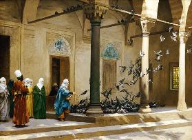 Harem Women Feeding Pigeons In A Courtyard