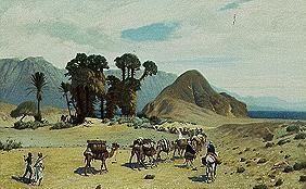 Camel caravan nearby the red sea.