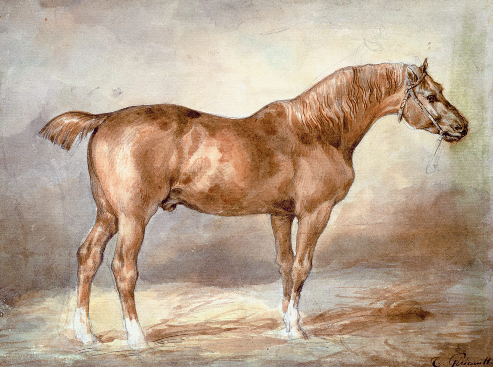 A docked chestnut horse od Jean Louis Théodore Géricault