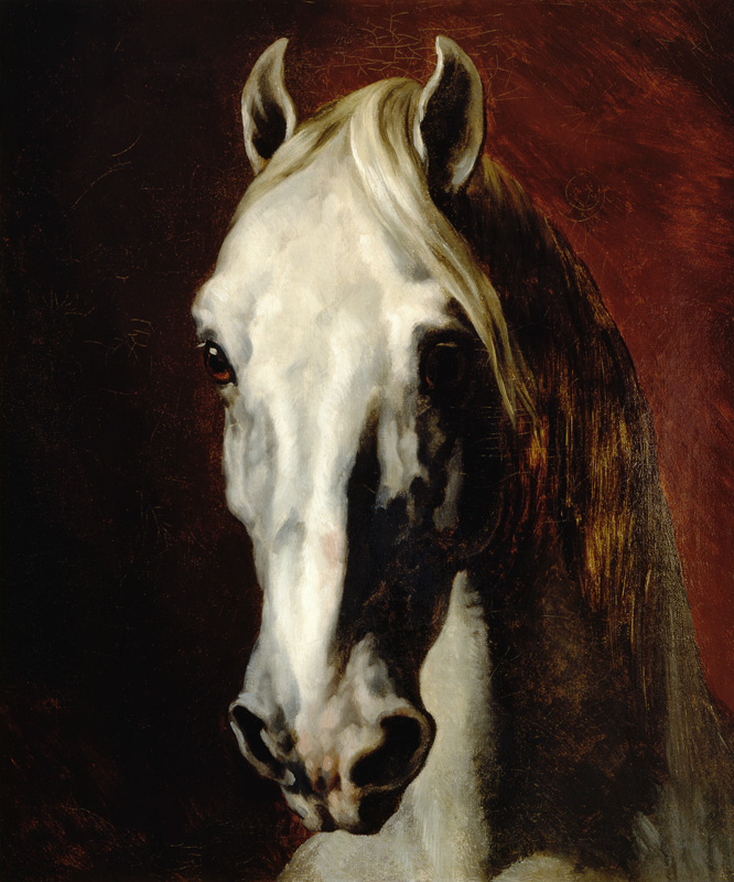Head of a white horse. od Jean Louis Théodore Géricault
