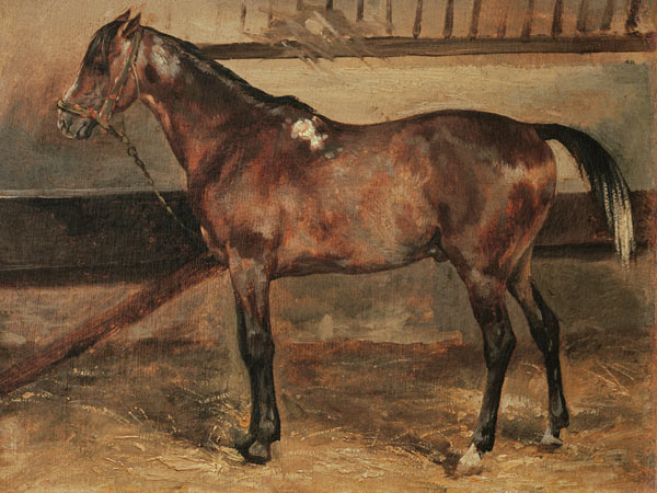 Brown Horse in the Stalls od Jean Louis Théodore Géricault