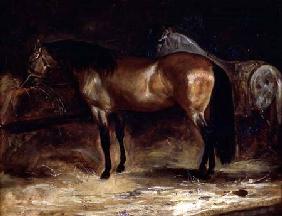 A Bay Horse at a manger, with a grey horse in a rug