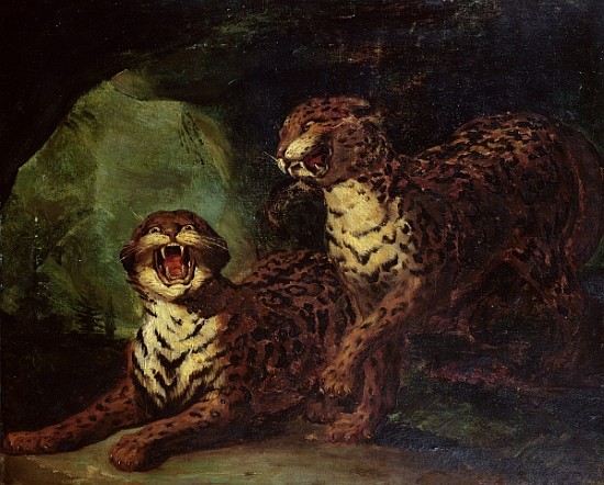 Two Leopards, c. 1820 od Jean Louis Théodore Géricault