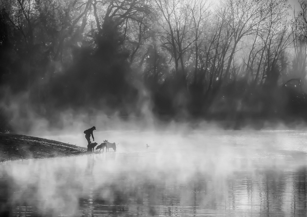 Misty Lake od Jenny Qiu
