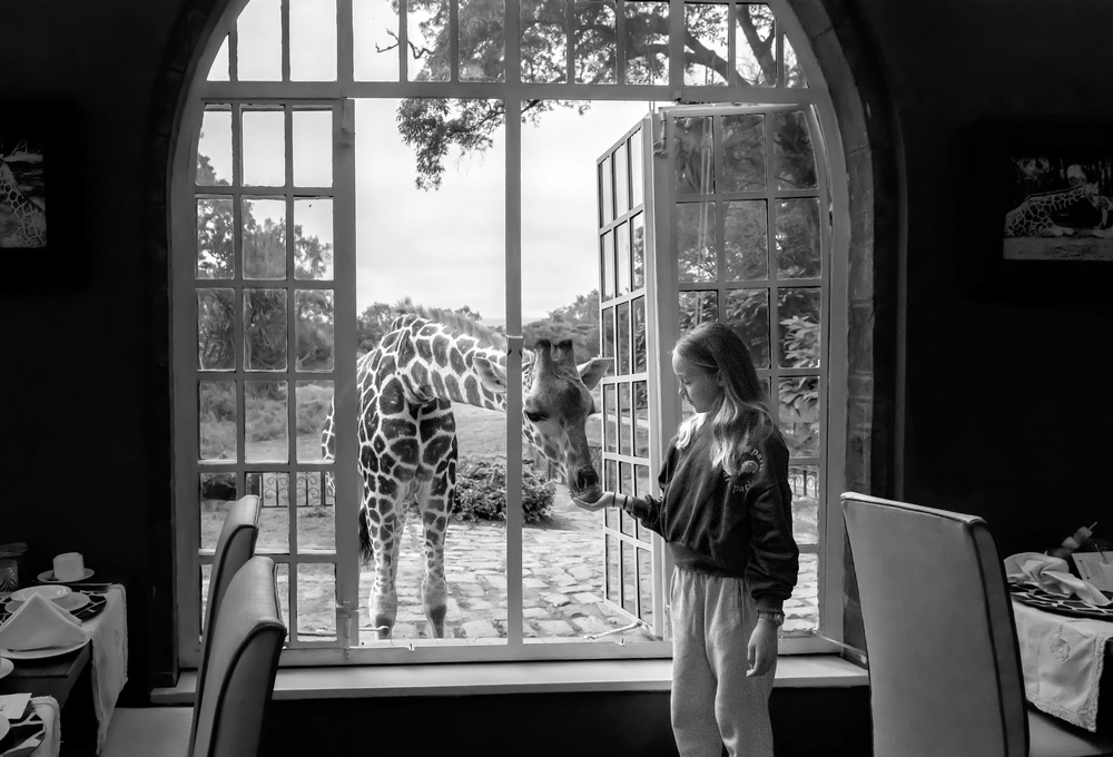 Giraffe and girl od Jie Fischer