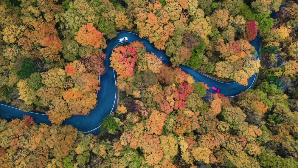 Autumn curve od Jie Jin