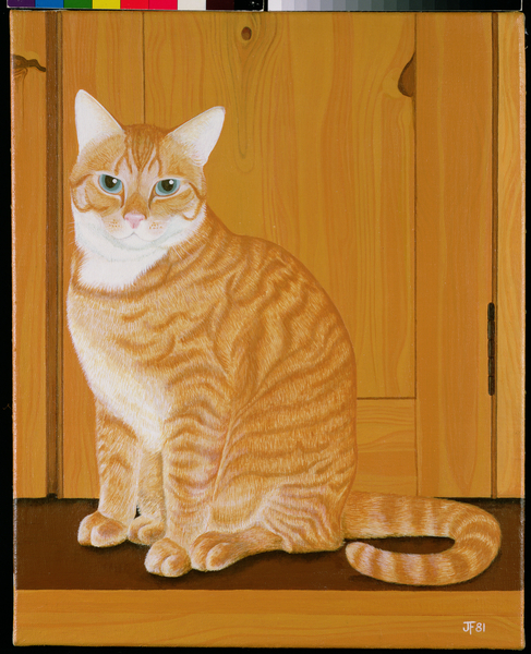 Marmalade cat by a door od Joan Freestone