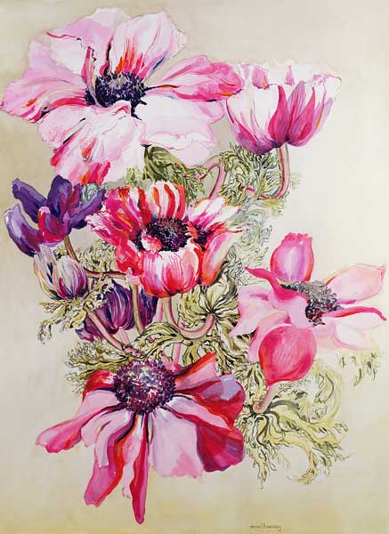 Anemones (w/c)  od Joan  Thewsey