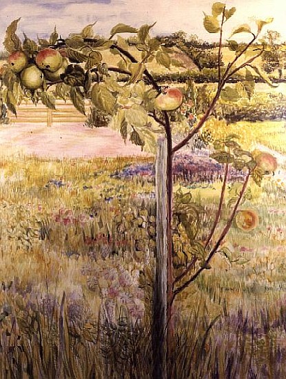 Apple Tree in a Suffolk Landscape (w/c)  od Joan  Thewsey