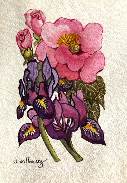 Camellia and Dutch Iris od Joan  Thewsey