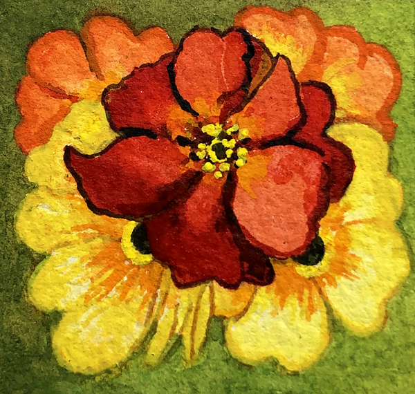 Five Primroses, red, yellow and orange od Joan  Thewsey