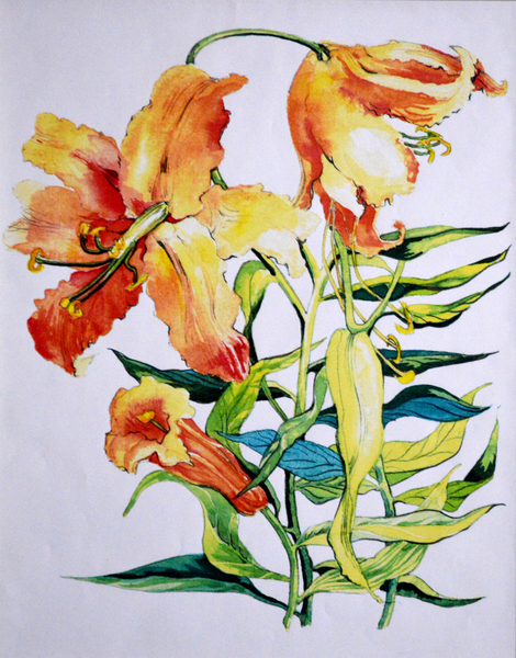 Orange Lilies 1 od Joan  Thewsey