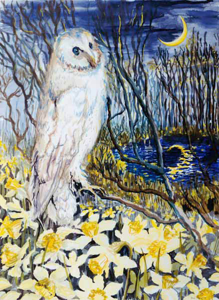 Owl (w/c on paper)  od Joan  Thewsey