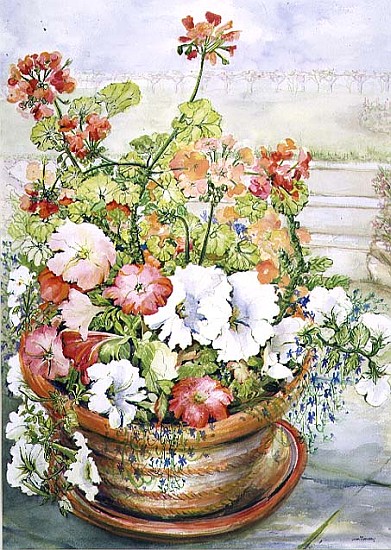 Petunias and Geraniums (w/c on paper)  od Joan  Thewsey