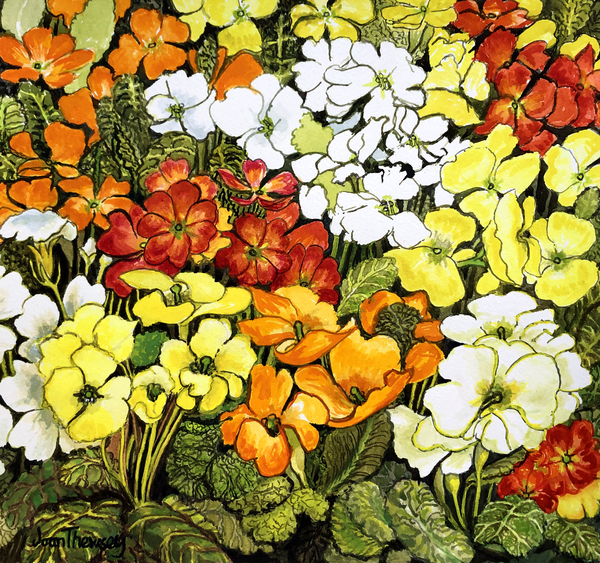 Primrose Border, white, yellow, orange and red primroses od Joan  Thewsey