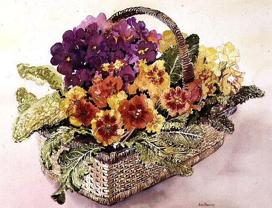 Primulas in a Basket (w/c)  od Joan  Thewsey