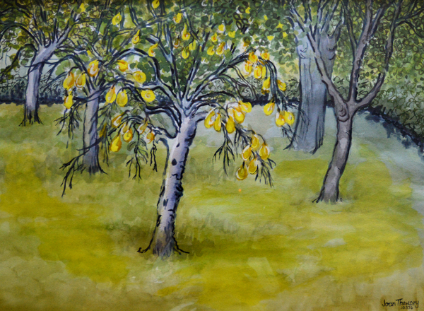 The Little Pear Tree od Joan  Thewsey