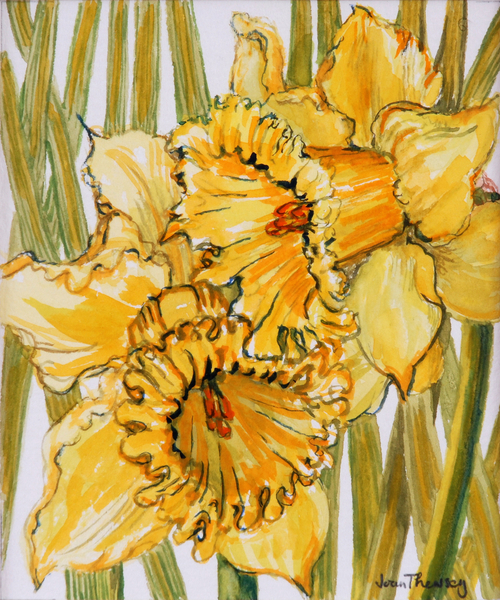 Two Daffodils od Joan  Thewsey