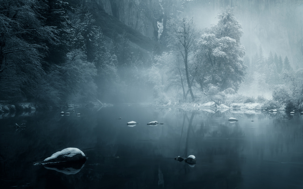 Winter wonderland od Joan Zhang