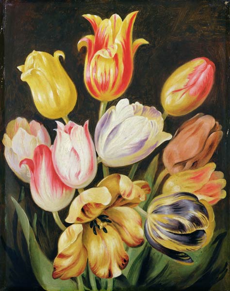 Flower Study od Joh. Friedrich August Tischbein