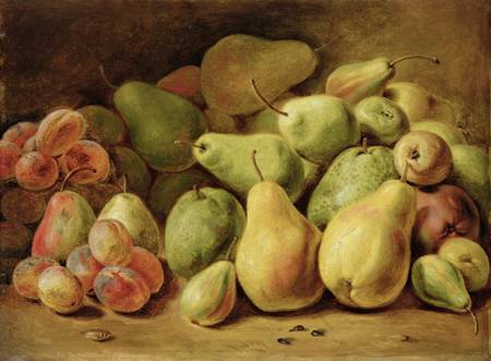 Fruit Still Life od Joh. Friedrich August Tischbein