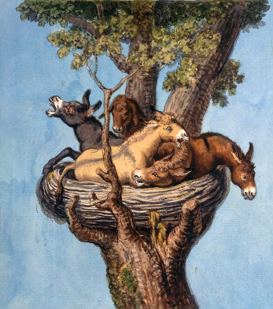 Donkey in the nest (donkey history) od Joh. Heinrich Wilhelm Tischbein