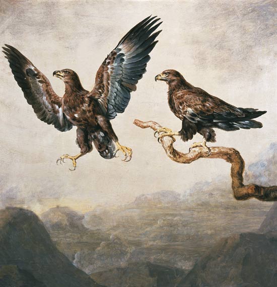 Eagle od Joh. Heinrich Wilhelm Tischbein
