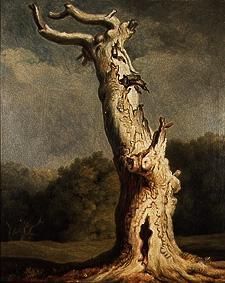 Old oak od Joh. Heinrich Wilhelm Tischbein
