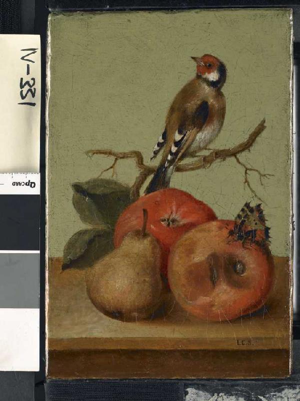Fruchtstück mit Buntfink und Schmetterling. od Johann Conrad Seekatz