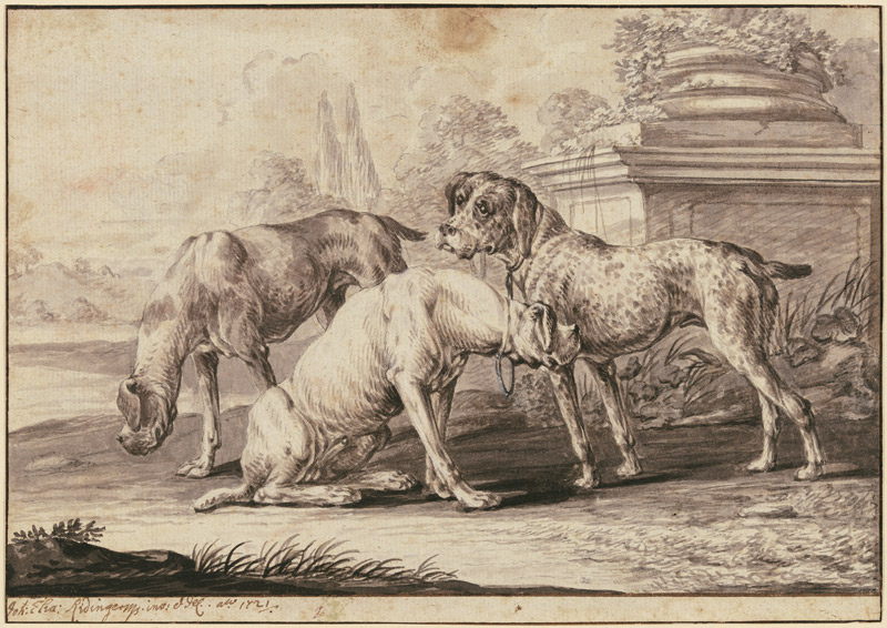 Three hunting dogs od Johann Elias Ridinger