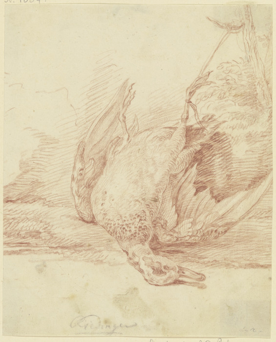 Zur Strecke gebrachte Ente, den Kopf nach rechts od Johann Elias Ridinger