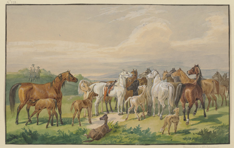 Ein gesatteltes Militärpferd kehrt zu seiner wilden Herde zurück od Johann Erdmann Gottlieb Prestel
