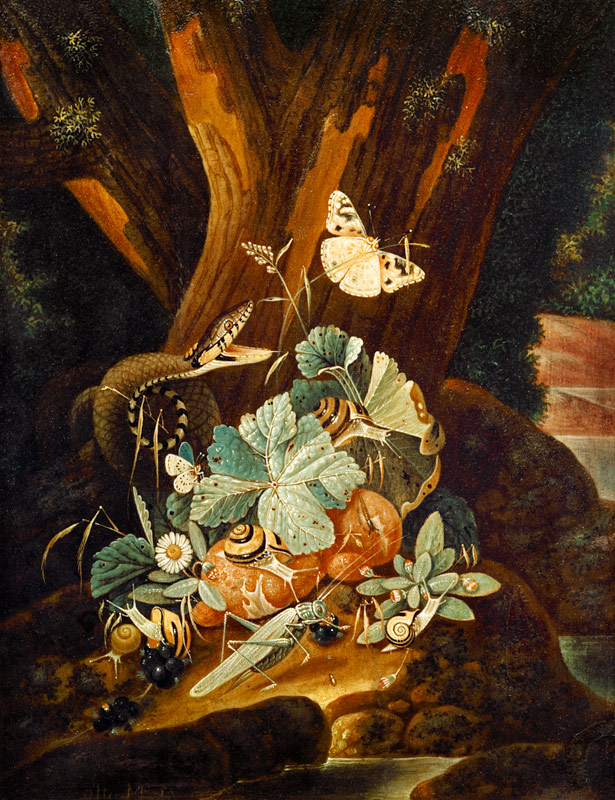 Insekten, Schnecken und Schlange od Johann Falch
