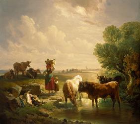 Shepherd family with cows at the watering-place