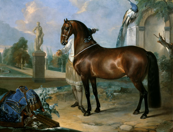 The bay horse' Sincero' od Johann Georg Hamilton