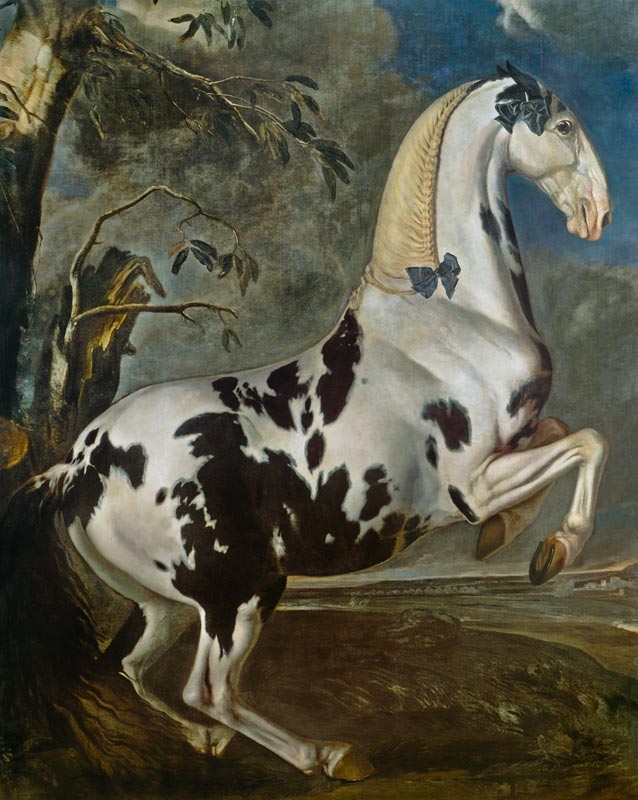 The Piebald Stallion at the Eisgruber Stud od Johann Georg Hamilton