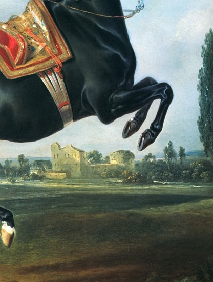 A black horse performing the Courbette (detail of 65652) od Johann Georg Hamilton