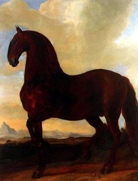 The Bay Stallion at the Eisgruber Stud od Johann Georg Hamilton