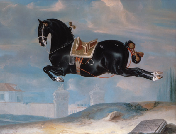 The black horse 'Curioso' performing a Capriole od Johann Georg Hamilton