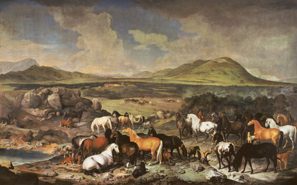 The Imperial Stud with Lipizzaner Horses od Johann Georg Hamilton