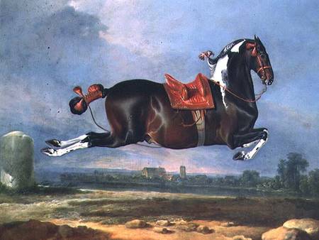 The piebald horse 'Cehero' rearing od Johann Georg Hamilton