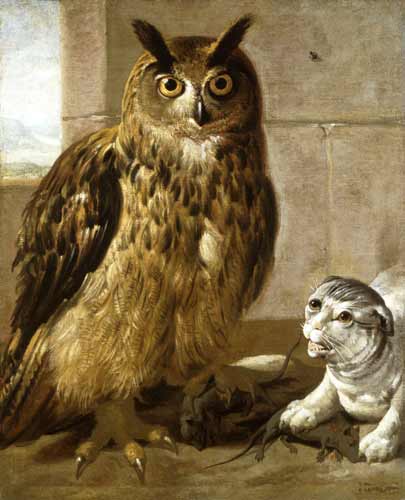 Eagle Owl and Cat with Dead Rats od Johann Heinrich Roos