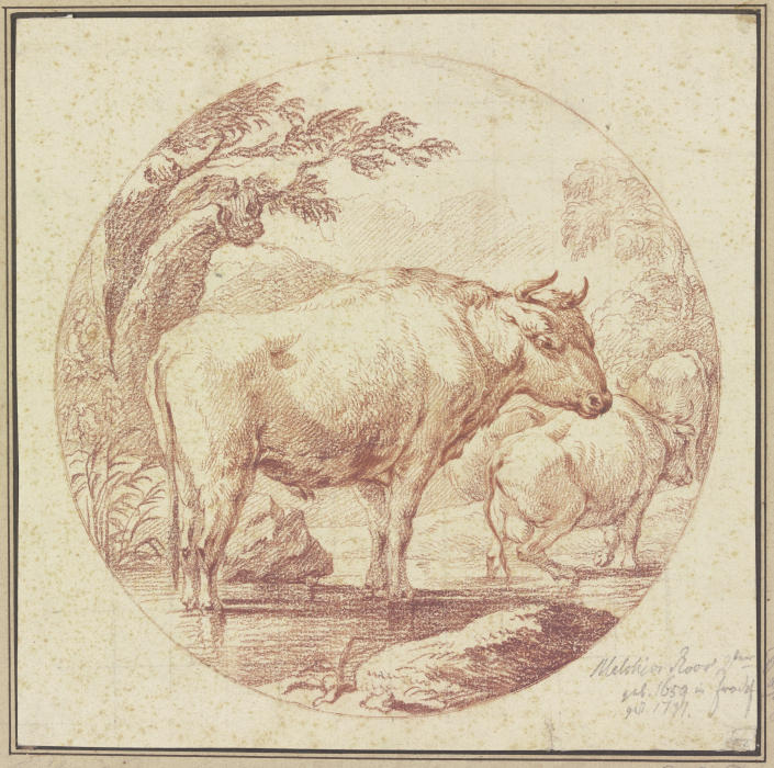 Cattle drinking od Johann Melchior Roos