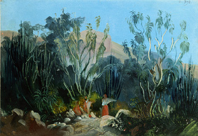 Jalapa et Cordoba. od Johann Moritz Rugendas