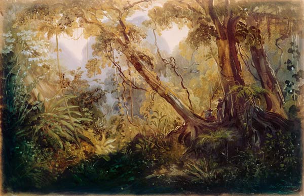 Jungle od Johann Moritz Rugendas