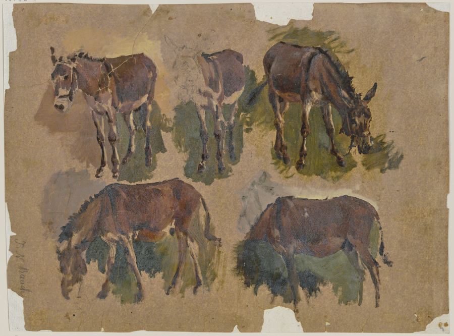 Five mules od Johann Nepomuk Rauch