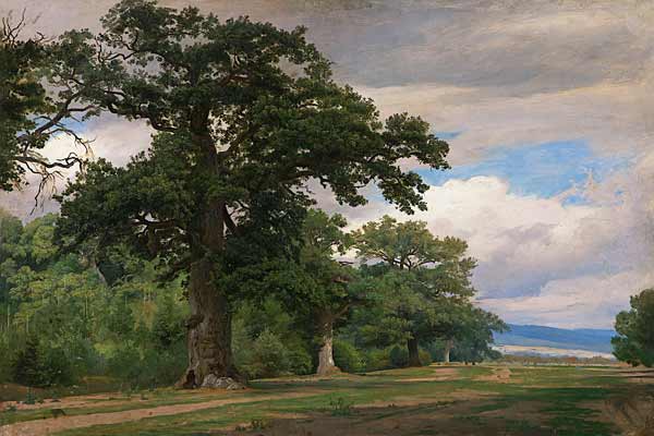 Großer Baum auf Waldschneise (Studie) od Johann Wilhelm Schirmer