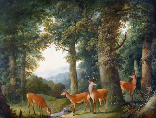 Waldlandschaft mit Rotwild od Johann Andreas Herrlein